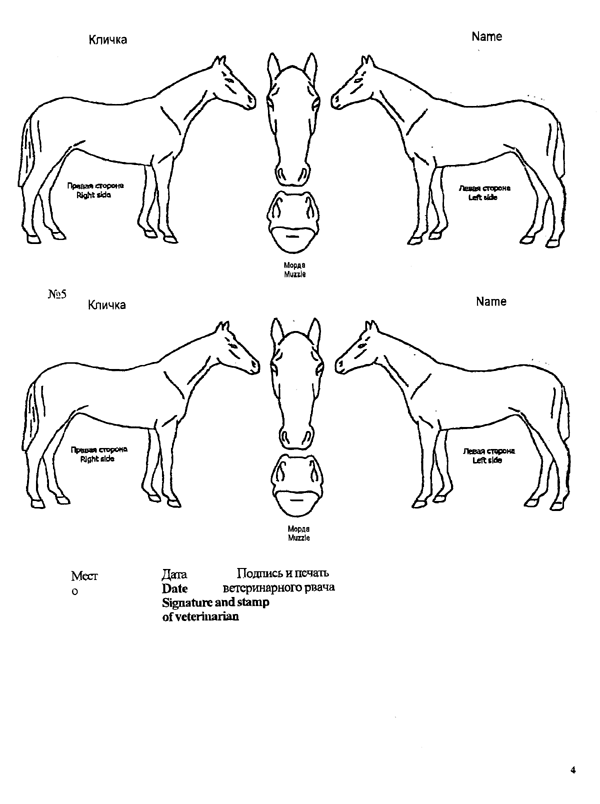 VET12-4 COPY.GIF (49346 bytes)